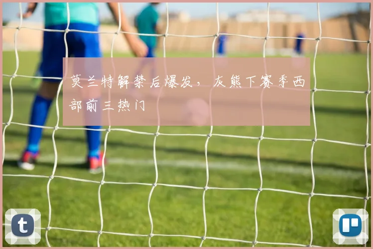莫兰特解禁后爆发，灰熊下赛季西部前三热门