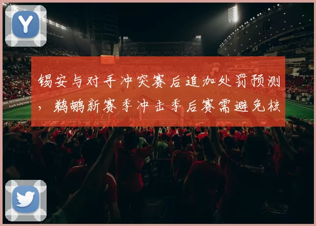 锡安与对手冲突赛后追加处罚预测，鹈鹕新赛季冲击季后赛需避免核心禁赛